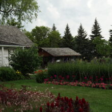 Image 3: Landscaping in front of Seven Oaks House