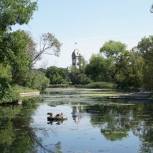 Image 1: Pavilion tower in the distance across the Duck Pond