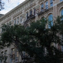 Image 2: Facade of the Telegram Building from the Albert Street side, partially covered by a tree