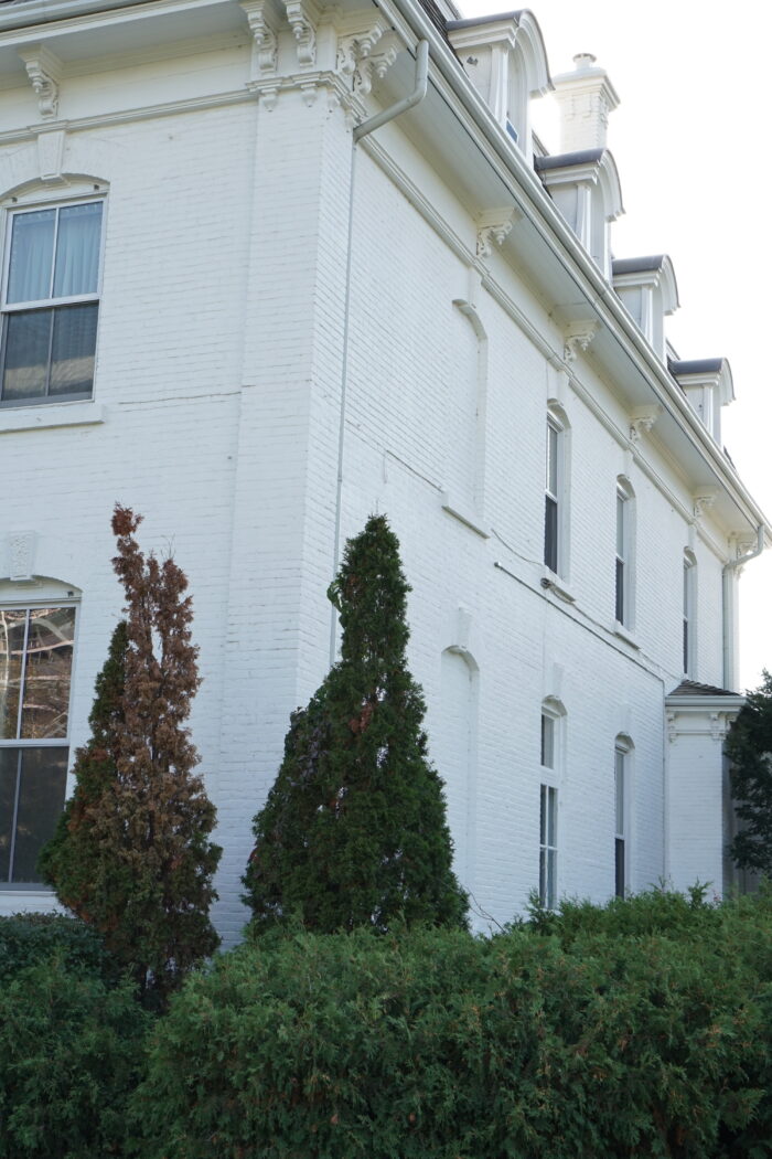 Government House with cedar trees and hedges growing in front of it.