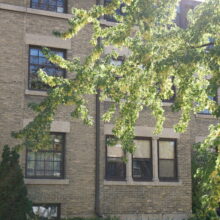 Image 1: Facade of the Warsaw Apartment building slightly covered by a tree branch on the right side