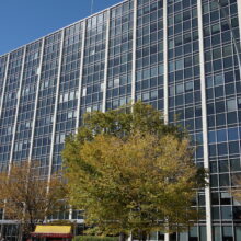 Image 2: The facade of the Norquay Building with a tree in front