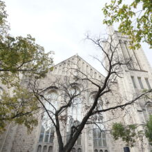 Image 1: Facade of Knox Church with a large tree covering the front