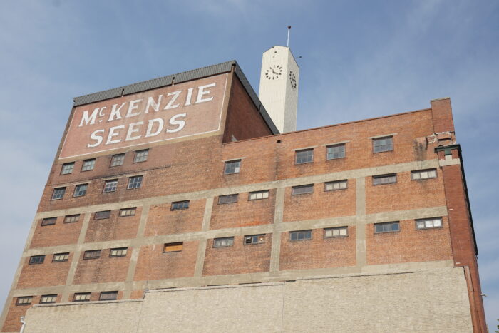 The side of the McKenzie Building with a clock tower above. Advertising on the building reads “McKENZIE SEEDS.”