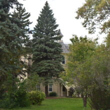 Image 6: The Sisters of the Holy Name Convent with trees in front obscuring most of the facade.